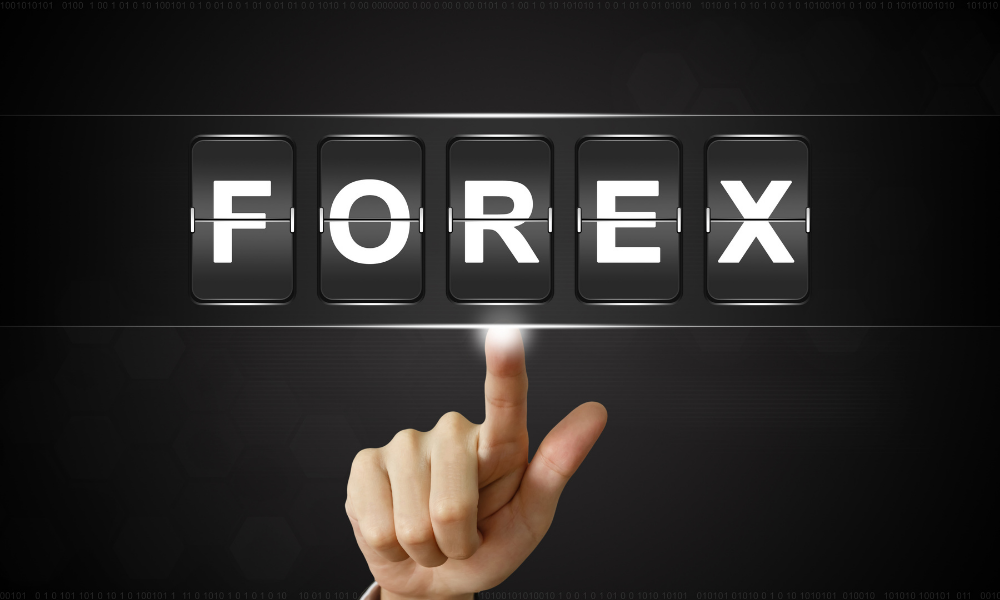 Who Are the Forex Market Players ?