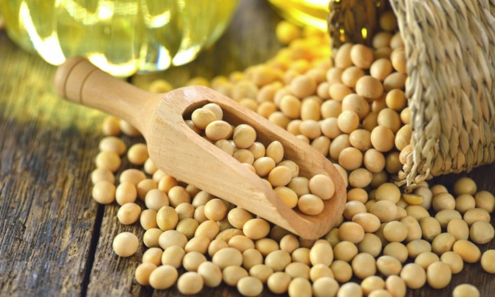 Argentina halts export registration for soy oil, meal.