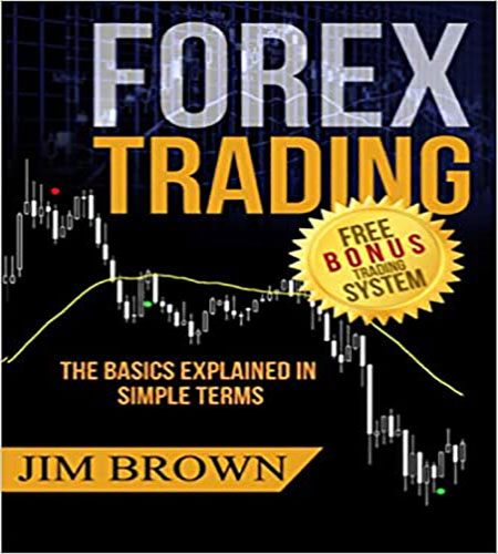 FOREX TRADING: The Basics Explained In Simple Terms - EconomyTody